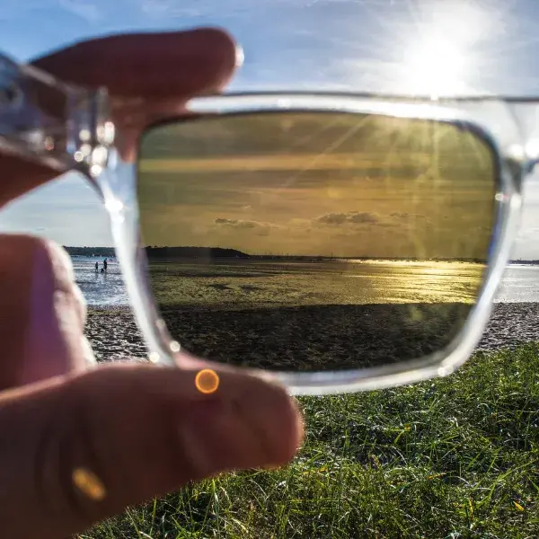 Polarized glasses